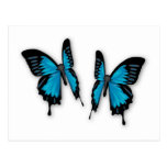 A Pair of Tropical Blue Butterflies Postcard
