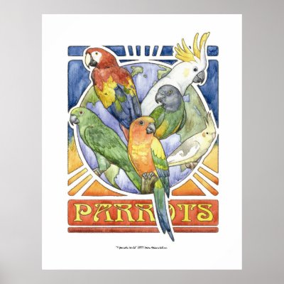 A Parrot's World Print by itsupintheairart