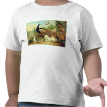 A Peacock, Doves, Chickens and a Jay in a Park Tshirts