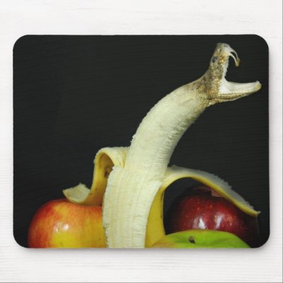 A Peeling Snake Mouse Pad by dryfhout