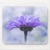 A Perfect Blue Daisy Mouse Pads
