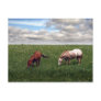 A Perfect Day Post Cards