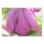 A Perfect Hellebore Bud cards