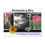 A* Photography & More Business Card Postcard