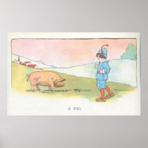 A Pig