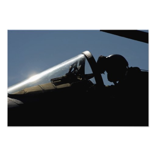 A pilot prepares for take-off photo