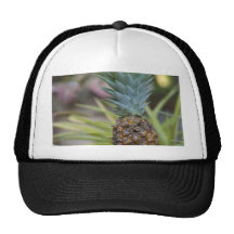 A Pineapple Trucker Hats