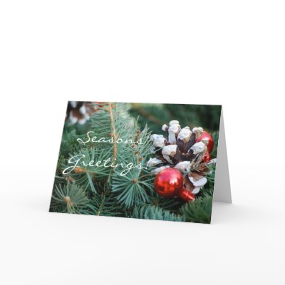 A Pinecone Season Cards by s0ngbird