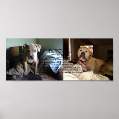 A Pit Bull's Love Posters by liebo11