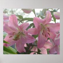 A Pk Lily Print-choose your size