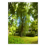 A Place Beyond  - Mystery Almost in Sight Greeting Cards