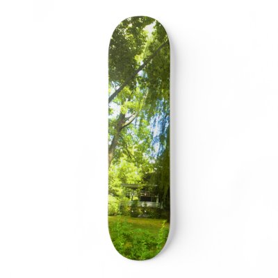A Place Beyond  - Mystery Almost in Sight Skate Board Deck by SusanElkin