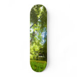 A Place Beyond  - Mystery Almost in Sight skateboards