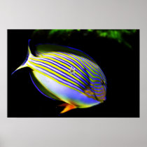 A Pleasant Surprise Posters