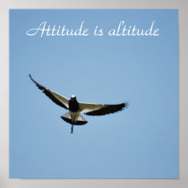A Plover  bird with attitude Print
