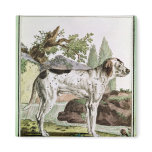 A Pointer, illustration from 'Histoire Fridge Magnets