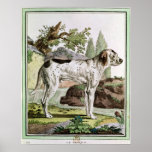A Pointer, illustration from 'Histoire posters