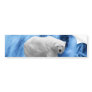 A polar Bear at the frozen waterfall Bumper Stickers