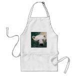 A polar bear just chilling aprons