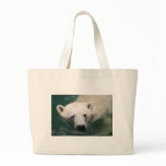 A polar bear just chilling bags