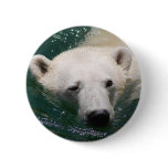 A polar bear just chilling buttons