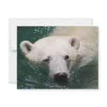 A polar bear just chilling invitations