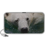A polar bear just chilling mini speakers