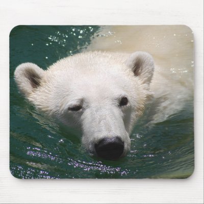 A polar bear just chilling mousepad by laureenr