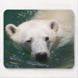 A polar bear just chilling mousepads