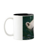 A polar bear just chilling mugs