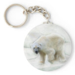 A polar bears icy cold keychains