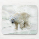 A polar bears icy cold mousepad