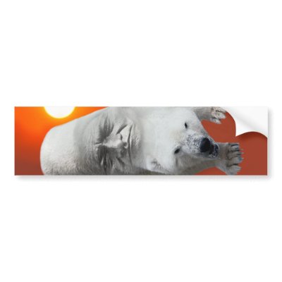 A polar bears sacredness and plight bumper stickers by laureenr