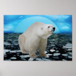 A polar bears time print