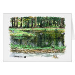 A pond for ducks cards