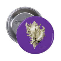 A predatory sea snail pin
