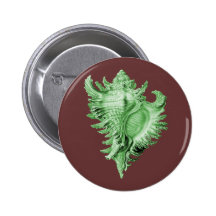 A predatory sea snail pinback button