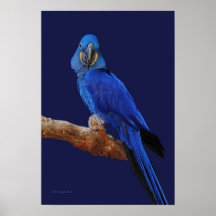 A Prince Of Parrots Poster