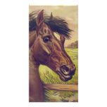 A Prince of the Blood by Currier & Ives Horse Head photo cards