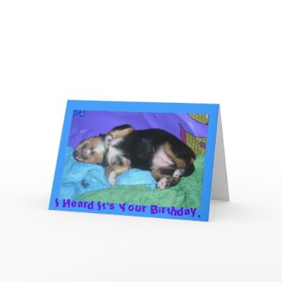 a pups hard day, I Heard It's Your Birthday, by minx267
