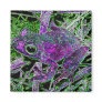 A Purple Frog in the Court Yard of Wonders Magnet