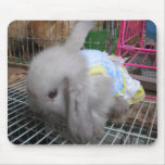 A Rabbit in a Dress Mouse Pads