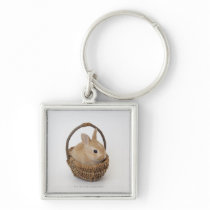 A rabbit is in a basket.Netherland Dwarf. Key Chains