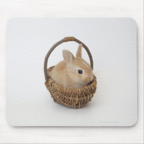 A rabbit is in a basket.Netherland Dwarf. Mouse Pads