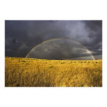 A rainbow appearing through a misty after noon photo print