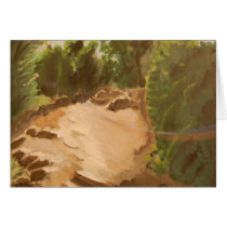 A Rainbow On Mt.Diablo Greeting Card