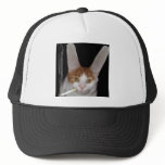 A real live cabbit hats