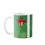 A red lily mug