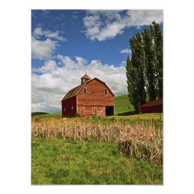 A ride through the farm country of Palouse by danitadelimont