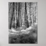 A Road Less Travelled Poster